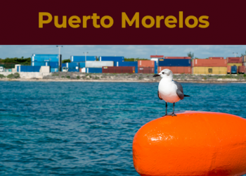 pt-morelos