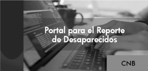 PORTAL PARA EL REPORTE-01