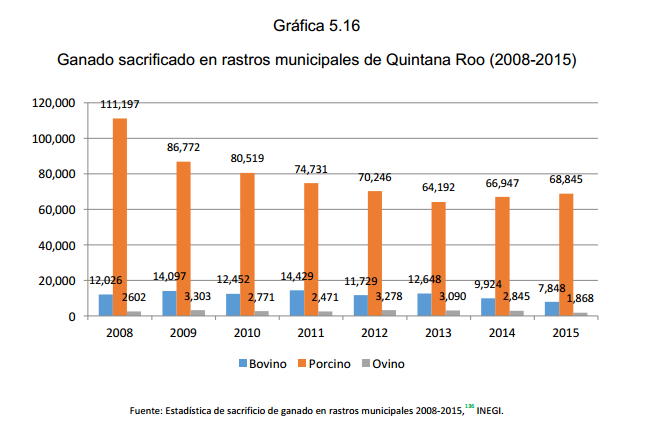 Gráfica 5.16 Ganado sacrificado en rastros municipales de Quintana Roo (2008-2015)