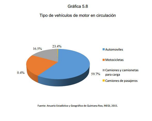 Gráfica 5.8 Tipo de vehículos de motor en circulación