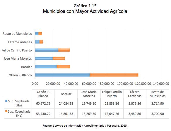 Gráfica 1.15 Municipios con Mayor Actividad Agrícola