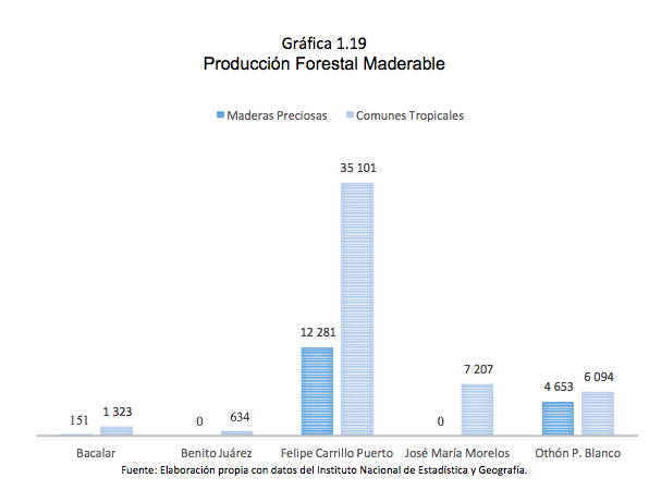 Gráfica 1.19 Producción Forestal Maderable