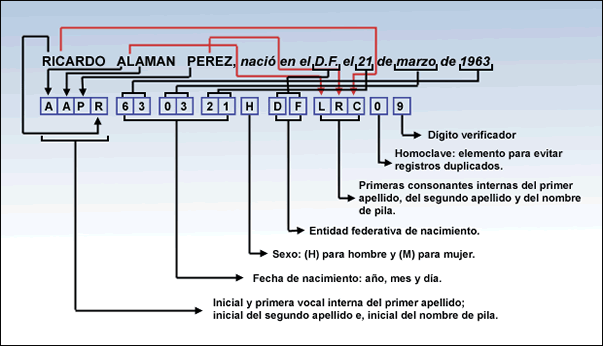 ayuda curp