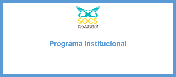 programa institucional