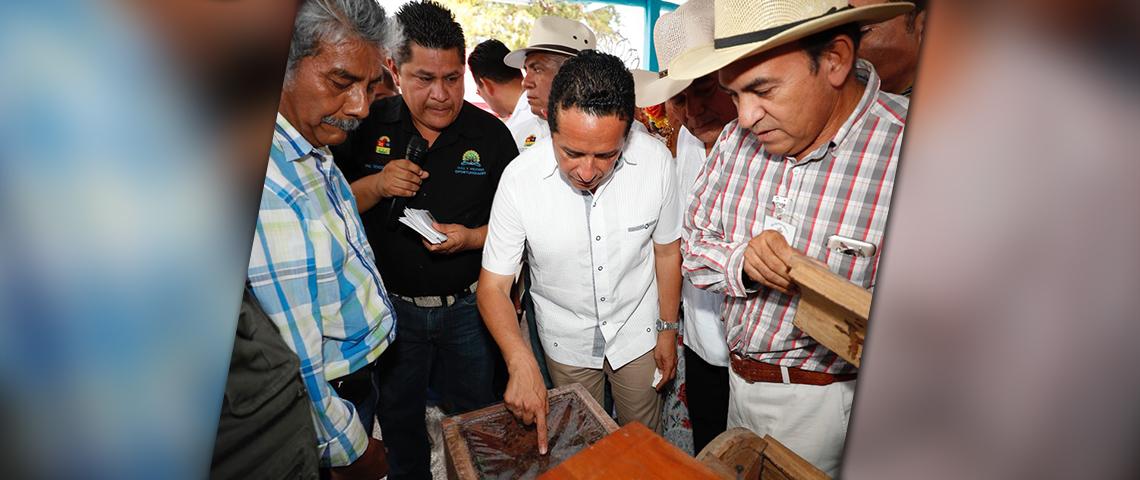 Apicultores Quintana Roo Gobernador Carlos Joaquín