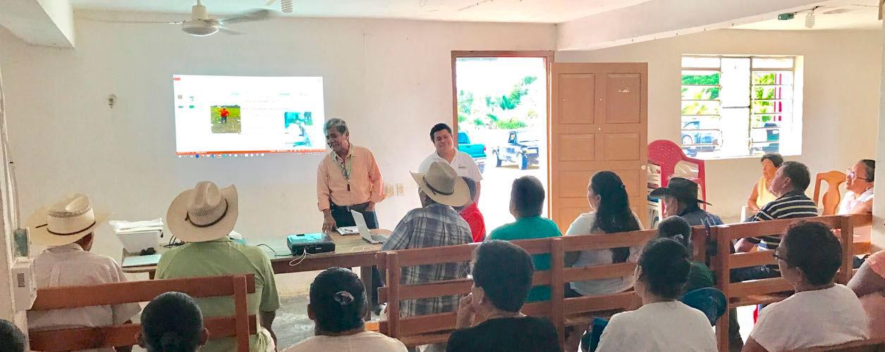 Sedaru brinda asesoría agraria a los productores quintanarroenses