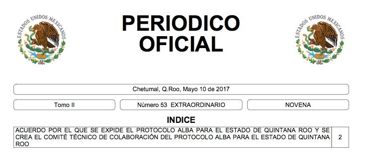 *Integra también el comité de colaboración entre los tres niveles de gobierno y sociedad civil para la aplicación del Protocolo