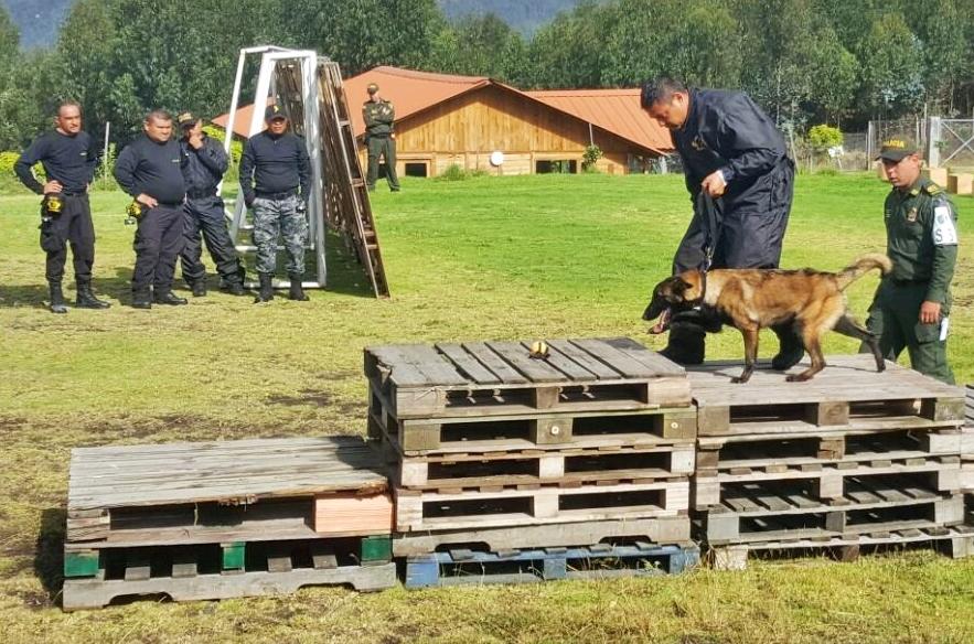 AVANZA ESPECIALIZACIÓN DEL AGRUPAMIENTO CANINO DE LA POLICÍA ESTATAL 