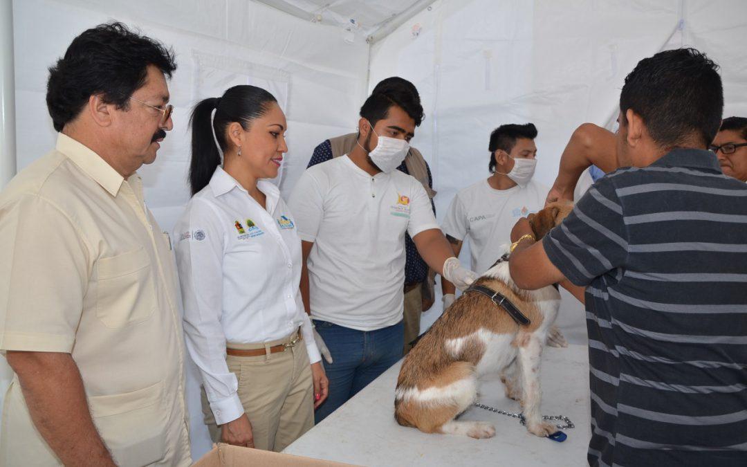 SESA-dueño-responsable-de-sus-mascotas