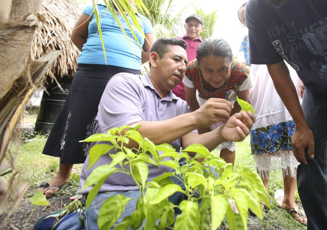 DIF Quintana Roo promueve la autosuficiencia y el desarrollo en comunidades del Estado