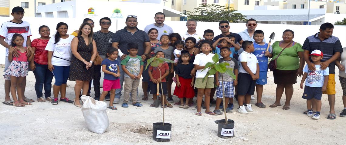 Reforestación Escuelas Primarias