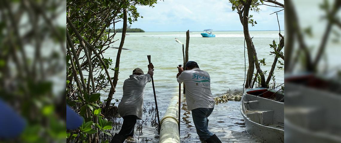 CAPA-holbox1