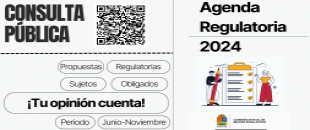 Consulta Pública sobre Agenda Regulatoria 2024